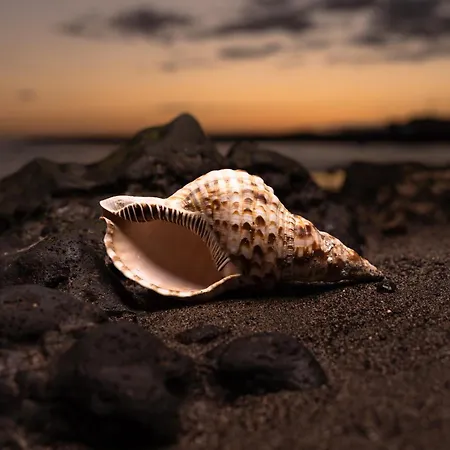 Хостел Bucio Coliving *