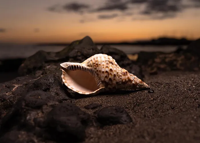 Хостел Bucio Coliving *